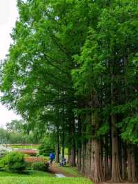 A Sweet Little Escape at Agape Garden