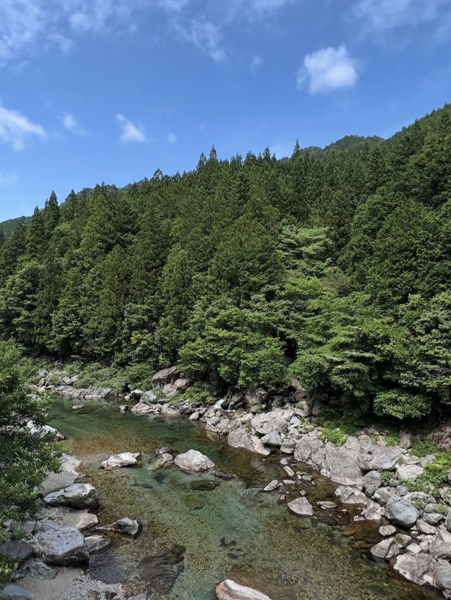 岐阜｜板取川  透明度抜群、“秘境の清流”で癒しのひとときを——