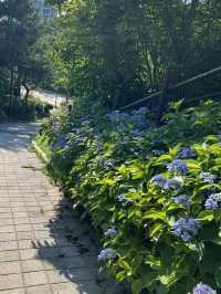 7코스 둘레길을 걸으며 