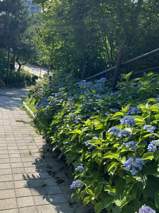 7코스 둘레길을 걸으며 