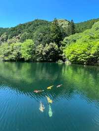 🌳三重｜真手公園（多気郡大台町）