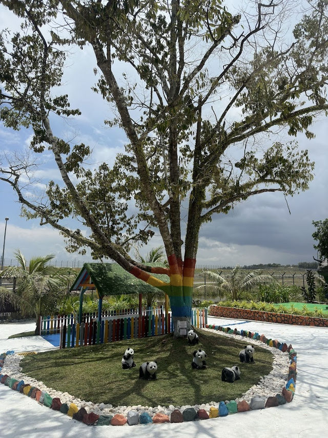Desaru Mini Zoo, Interactive Encounters for the Whole Family