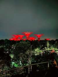 OCBC Skyway at Gardens by the Bay – A Must-Visit Nighttime Spectacle in Singapore