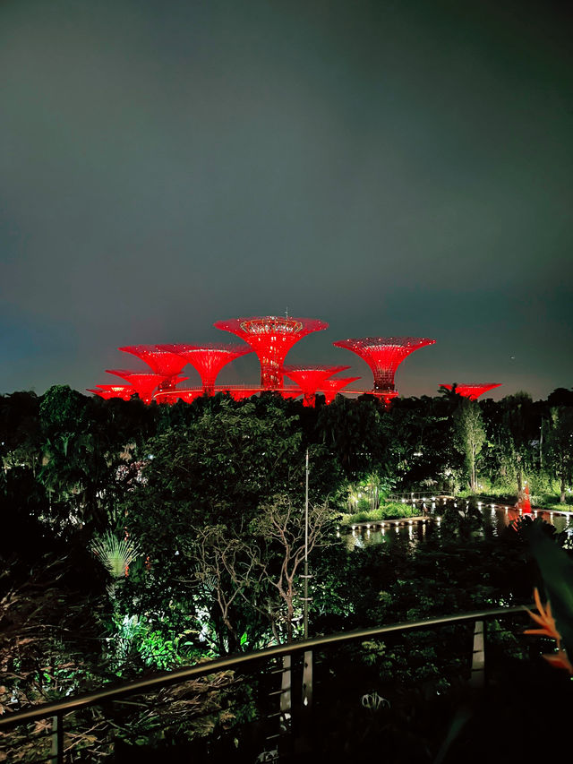 OCBC Skyway at Gardens by the Bay – A Must-Visit Nighttime Spectacle in Singapore