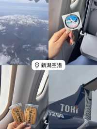 新潟のおすすめスポット紹介❗️
