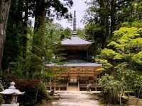 Mount Kōya