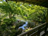 姬路 | 活水軒，邊欣賞庭園美景、邊品嚐陶燒牛肉