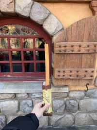 【東京🇯🇵】ディズニーランドで夢の時間を✨⭐️