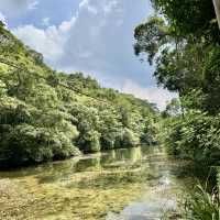 石龜坑山古道巡禮