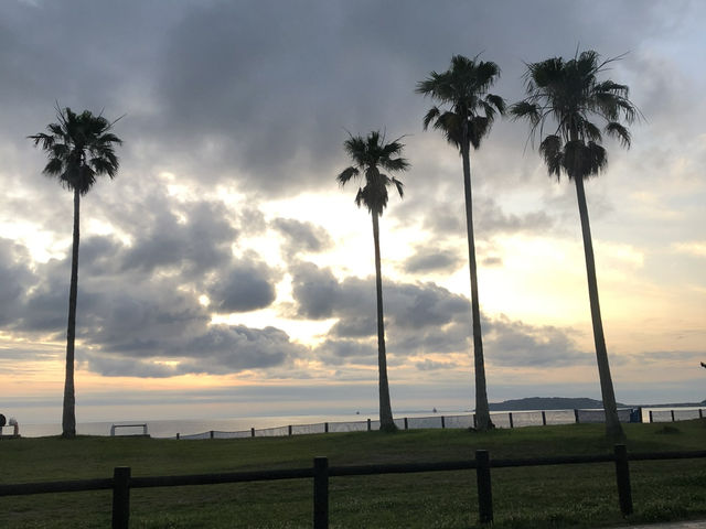 魅力たくさん！ 初夏の館山