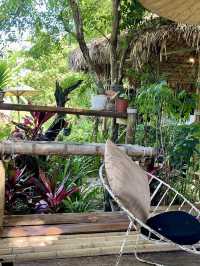 The Nature Samui