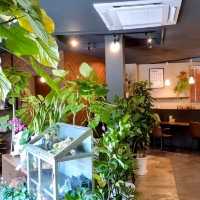 D FARM COFFEE
