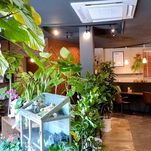 D FARM COFFEE