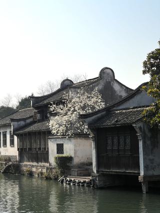 烏鎮的早晨