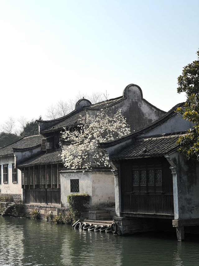 A morning in Wuzhen