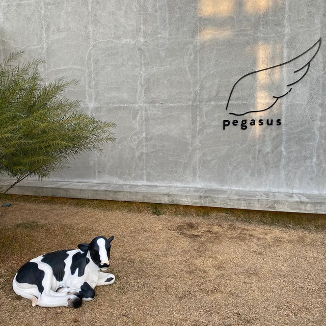 【日本・兵庫🇯🇵】淡路島のほっこり癒し系カフェ「カフェペガサス」🐶☕️