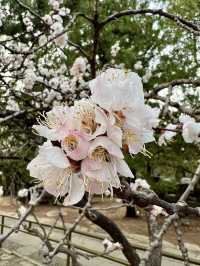 You MUST visit this place in Beijing