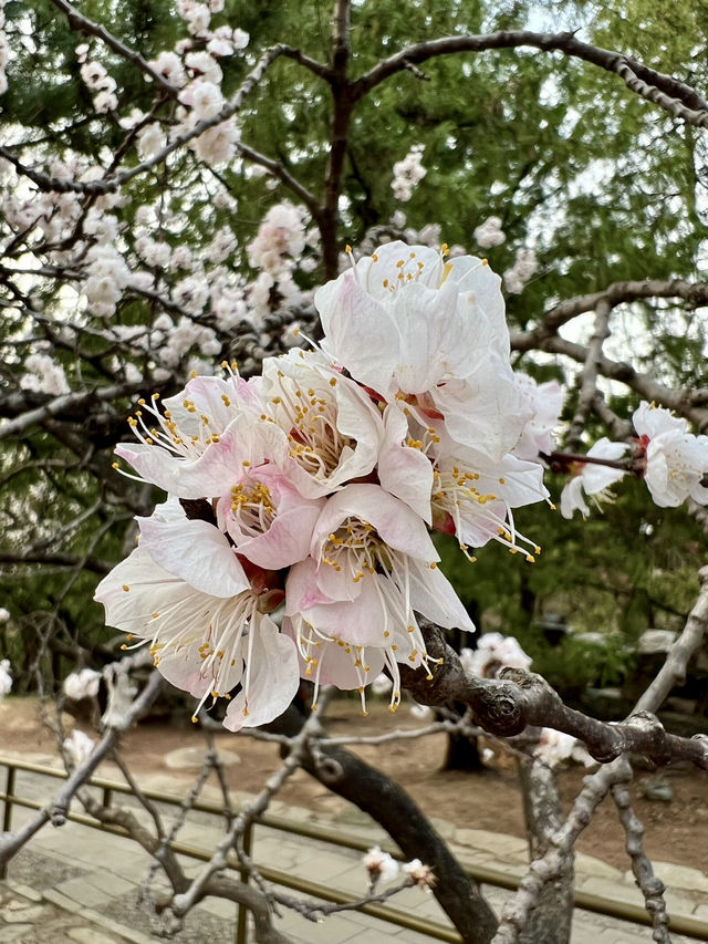 You MUST visit this place in Beijing