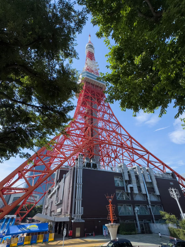 🇯🇵 Tokyo Tower Observation Deck – 360° View of Tokyo