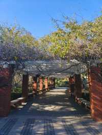 ～禎祥公園~清幽綠洲～