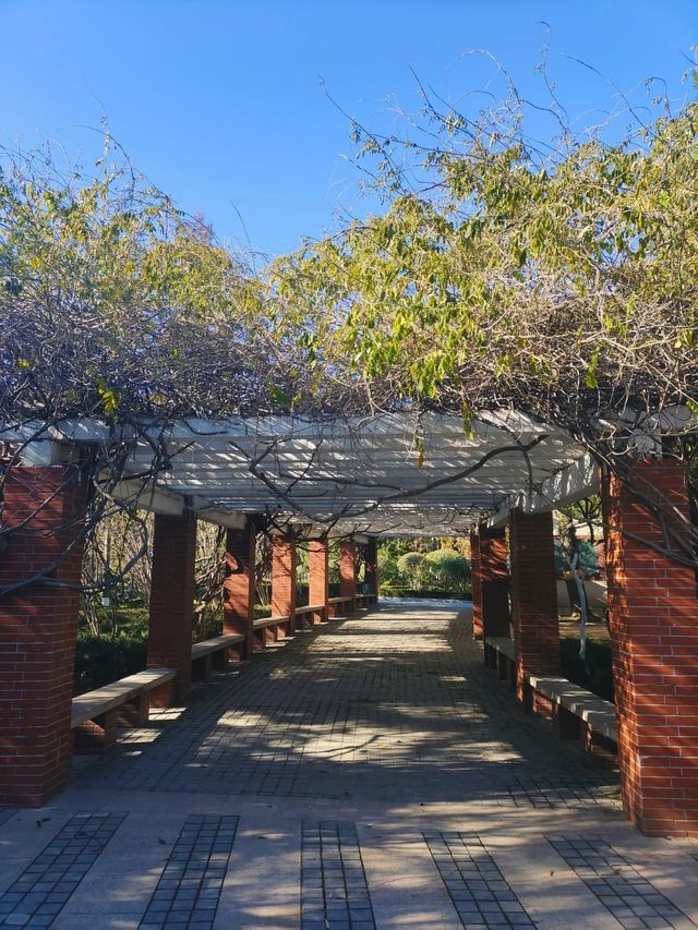 ～禎祥公園~清幽綠洲～