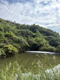Japan’s quiet Masterpiece 