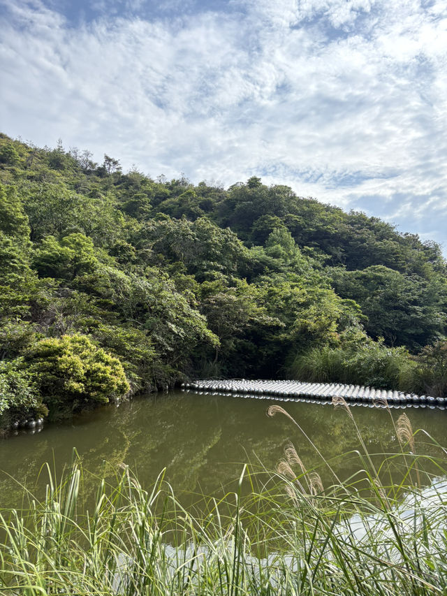 Japan’s quiet Masterpiece 