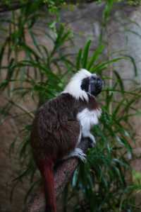 ~汕頭動物園~奇妙世界~