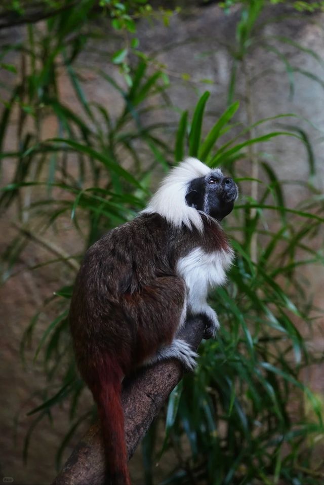 ~汕頭動物園~奇妙世界~