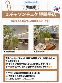 【韓国カフェ🇰🇷】ひとりでも入りやすいおすすめカフェ5選☕️💕