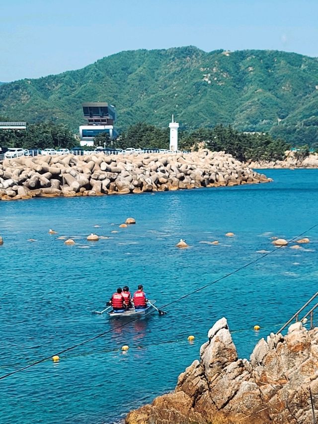 해양레포츠 다양한 투명한바다🤍장호항