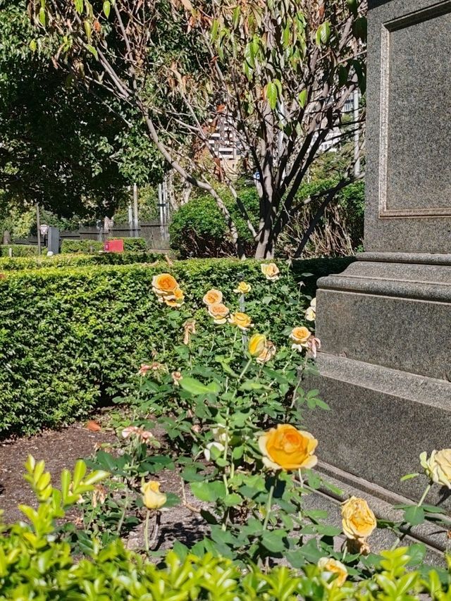 墨尔本圣巴特利爵主教座堂（St Patrick's Cathedral）