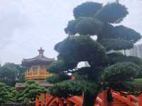 Nan Lian Garden.