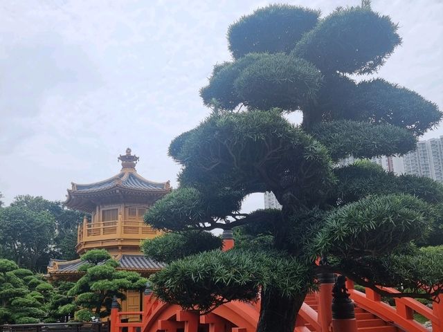 Nan Lian Garden.