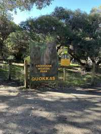 Caversham visit 