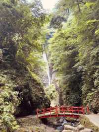 🌿 Solo Adventure: Shasui Falls – Tokyo’s Secret Waterfall Escape
