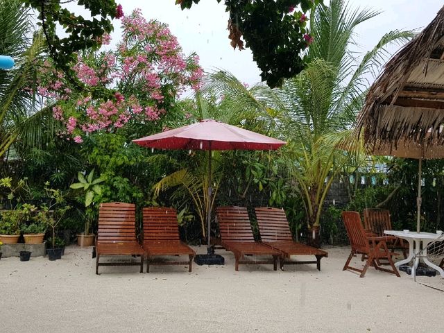 "Discover Local Life on Rasdhoo Island, Maldives 🏝️🌺🇲🇻"