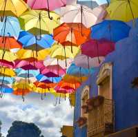  🌂 Canopy of Joy: Discovering Águeda's Umbrella Wonderland