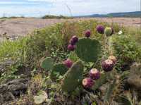 Enchanted Rock State Natural Area