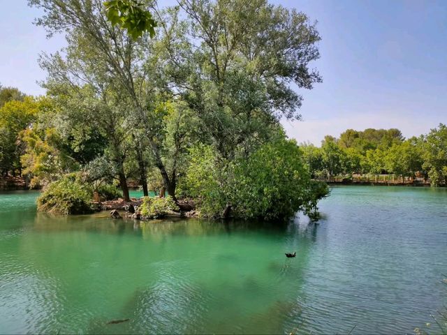 Lake Day Bliss at Albufera de Anna