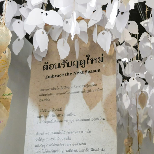 คุณกลัวความแก่ไหม?