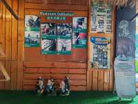 Exploring Gano Farm: A Wonderful World of Mushrooms