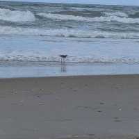 Ocracoke Island