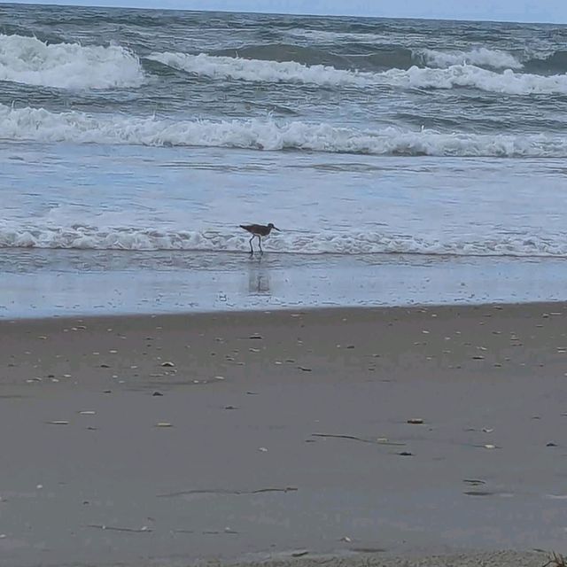 Ocracoke Island