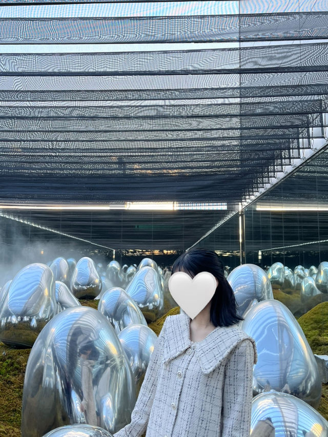 도쿄 감성 가득한 여행 — 팀랩 플래닛