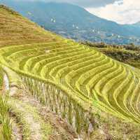 Longji Rice Terraces: A Solo Traveler’s Journey Through China’s Dragon Spine Mountains"** 🐉🌾