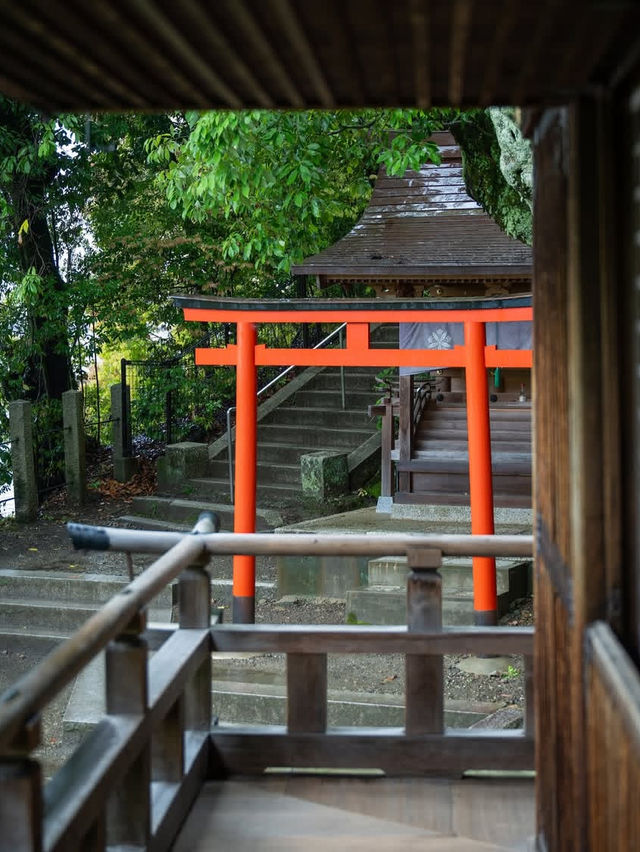 【永観堂】“もみじの永観堂”で心染まる🍁秋だけじゃない、四季の美に出会える寺