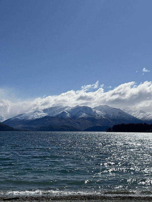 全世界最寂寞的樹，美得讓人不說話🌳📸｜紐西蘭瓦納卡湖 That Wanaka Tree