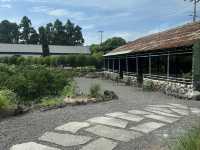 Cafe Forest J