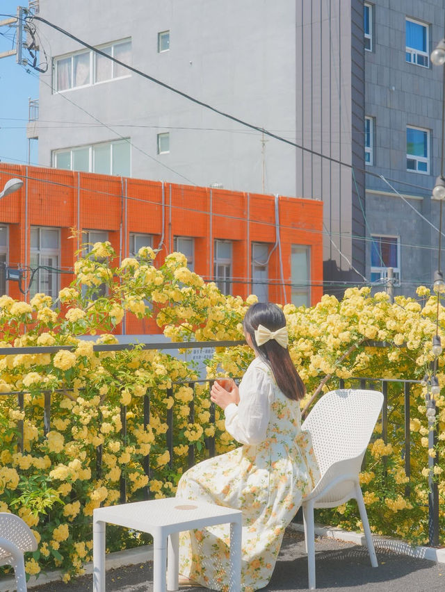 피드로도 기록해보는 창원의 노란빛 순간들💛